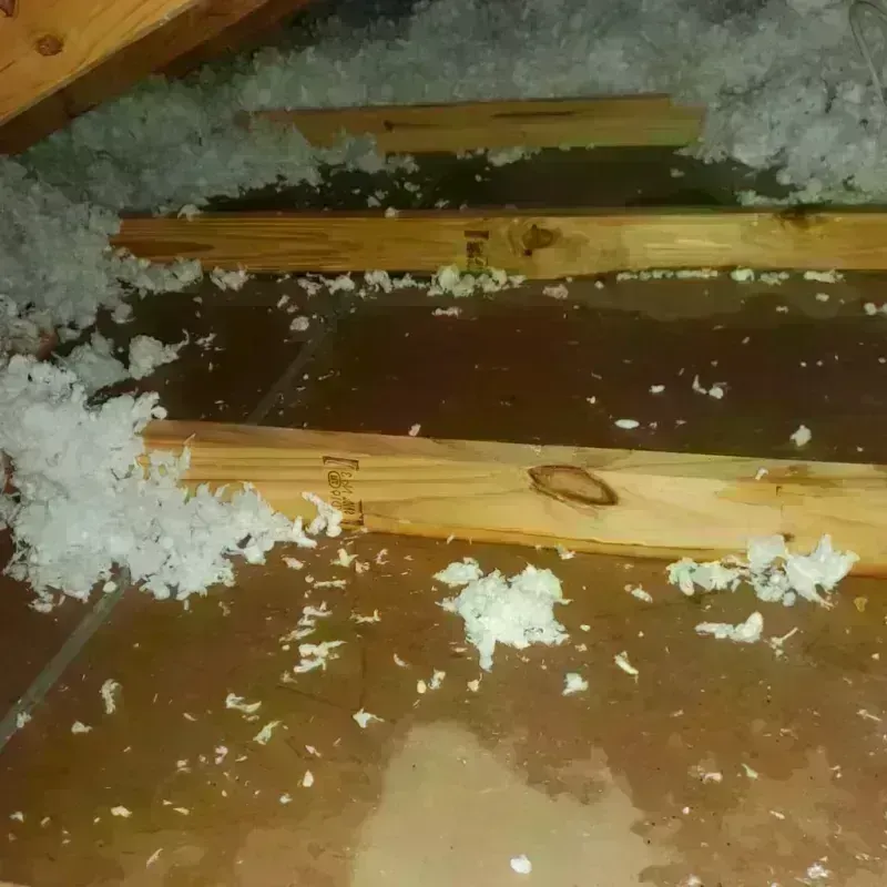 Attic Water Damage in Orangetree, FL