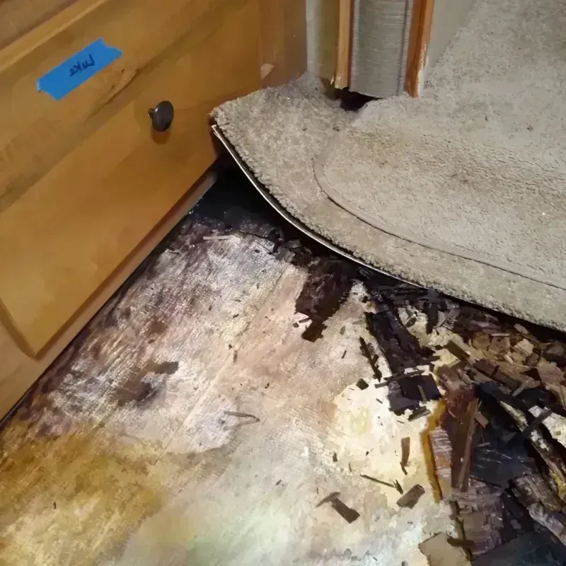 Wood Floor Water Damage in Orangetree, FL